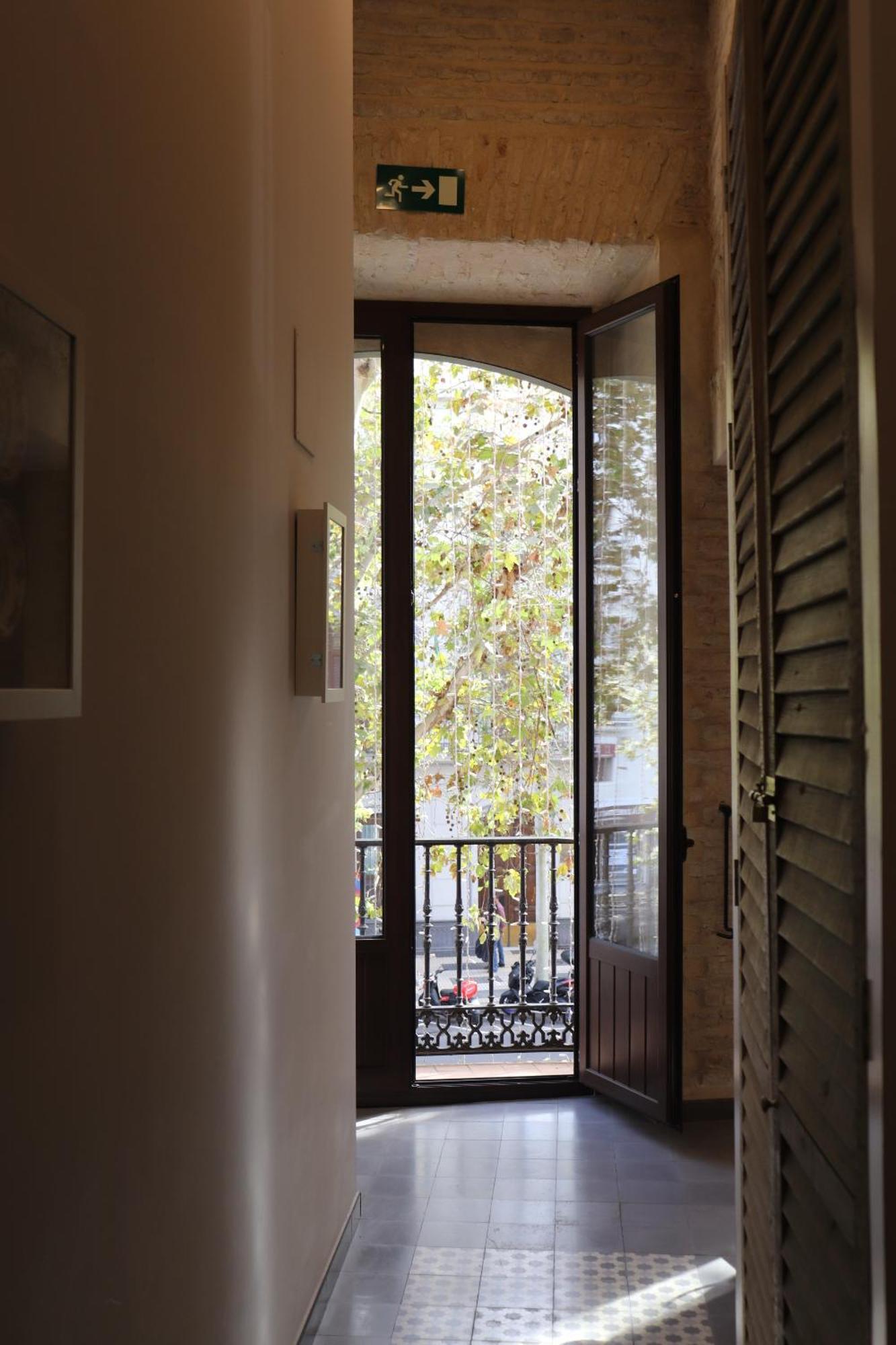 Apartamentos Reyes Catolicos 14 セビリア エクステリア 写真
